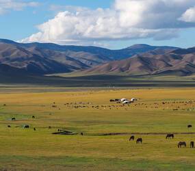 Mongolie vallee OrkhoniStock 1438599485 Rachel Poirot